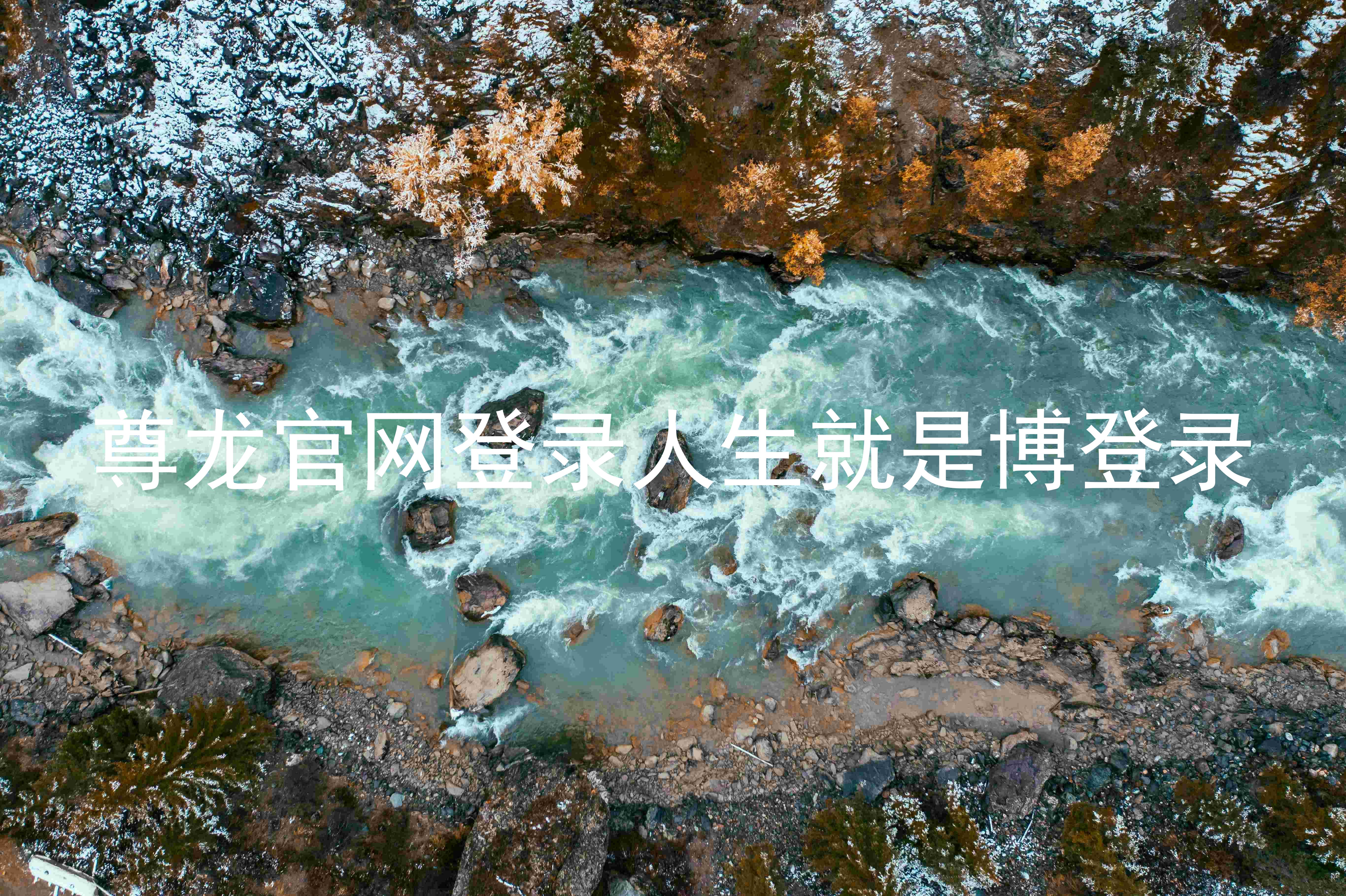 尊龙官网登录人生就是博登录