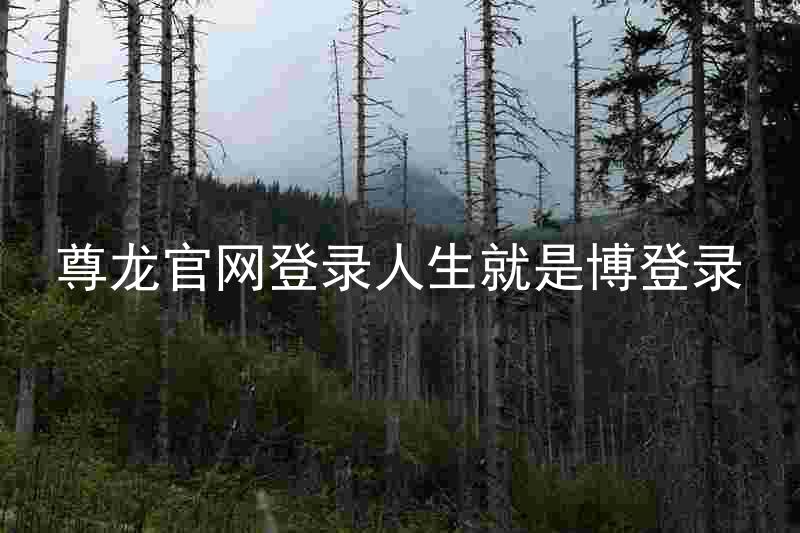 尊龙官网登录人生就是博登录