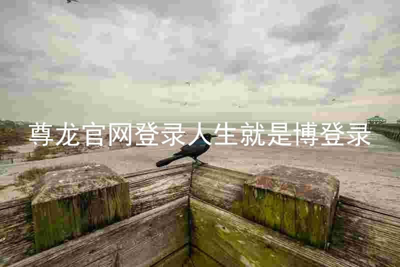 尊龙官网登录人生就是博登录