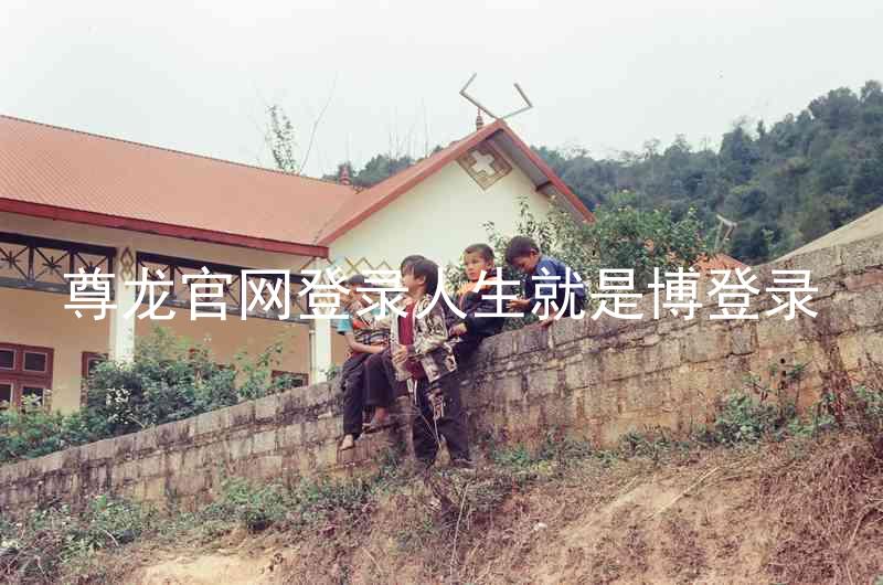 尊龙官网登录人生就是博登录